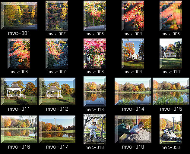 Click for Full Size.