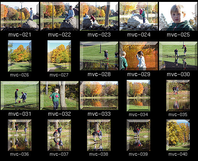 Click for Full Size.