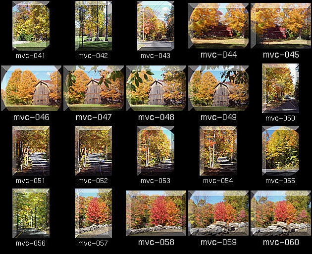 Click for Full Size.