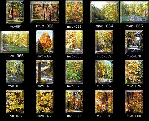 Click for Full Size.