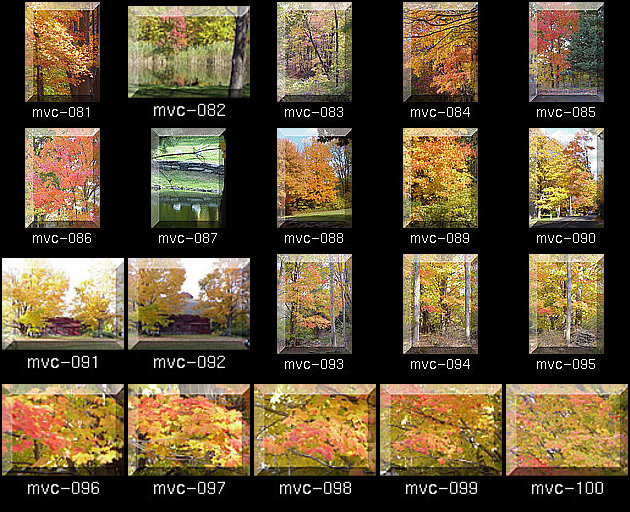 Click for Full Size.