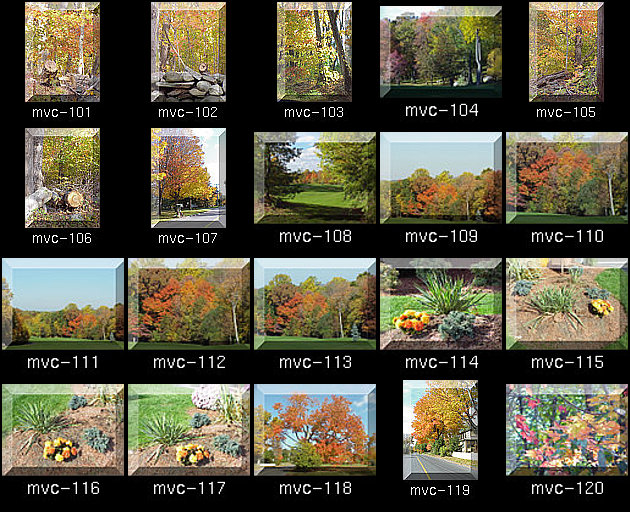 Click for Full Size.