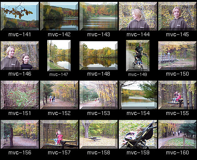 Click for Full Size.