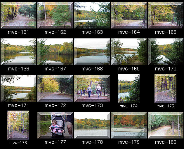 Click for Full Size.