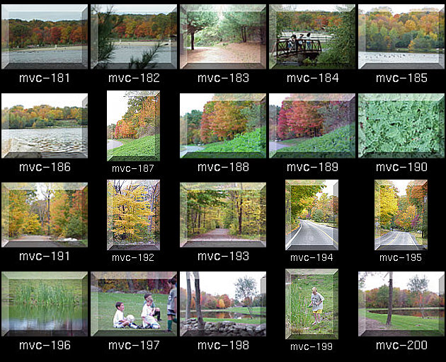 Click for Full Size.