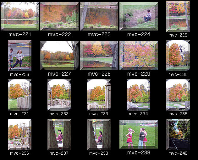 Click for Full Size.