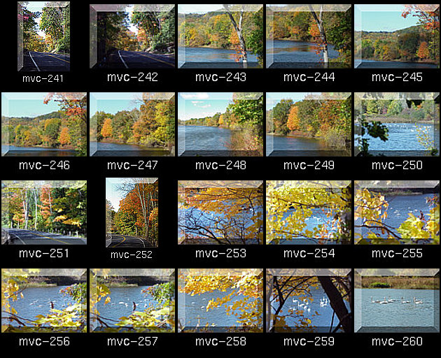 Click for Full Size.