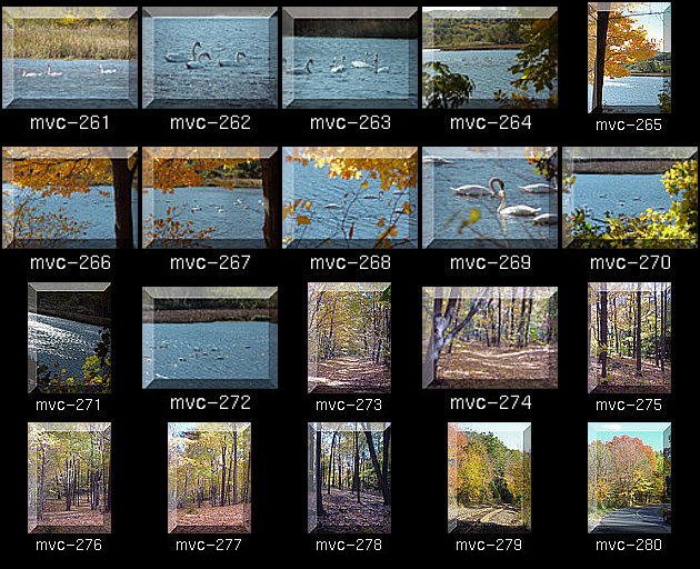 Click for Full Size.