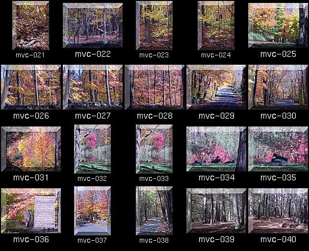 Click for Full Size.