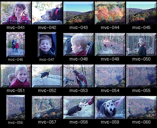 Click for Full Size.