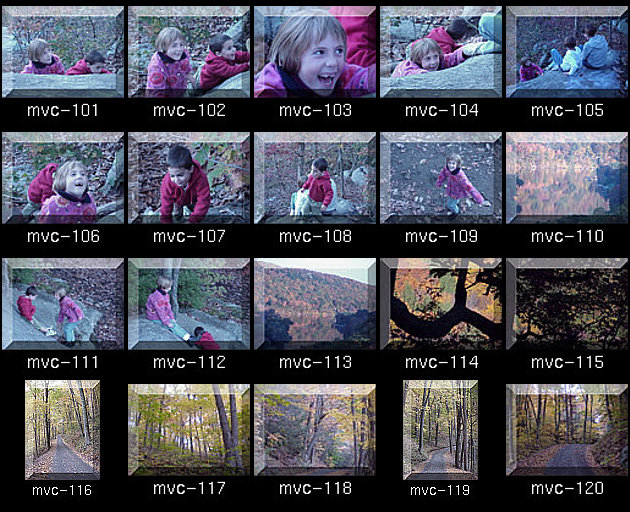 Click for Full Size.