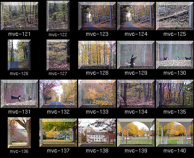 Click for Full Size.