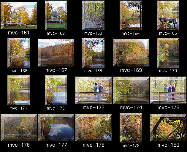 Click for Full Size.