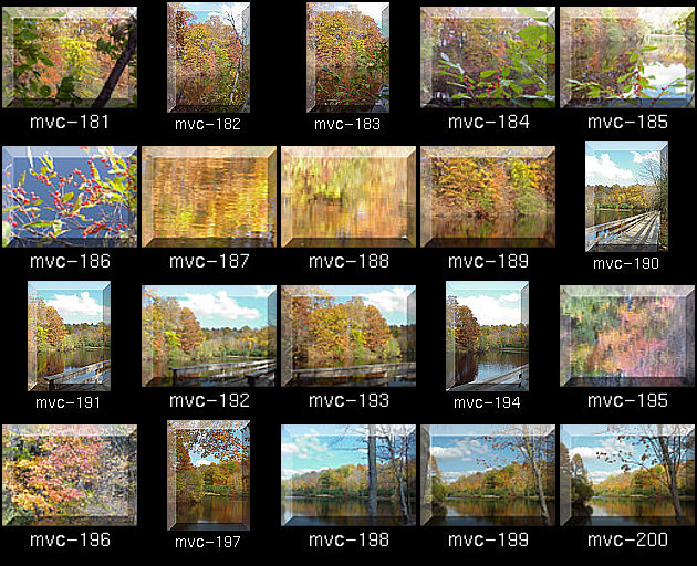 Click for Full Size.