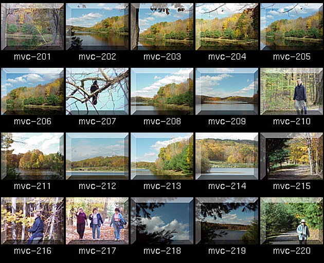 Click for Full Size.