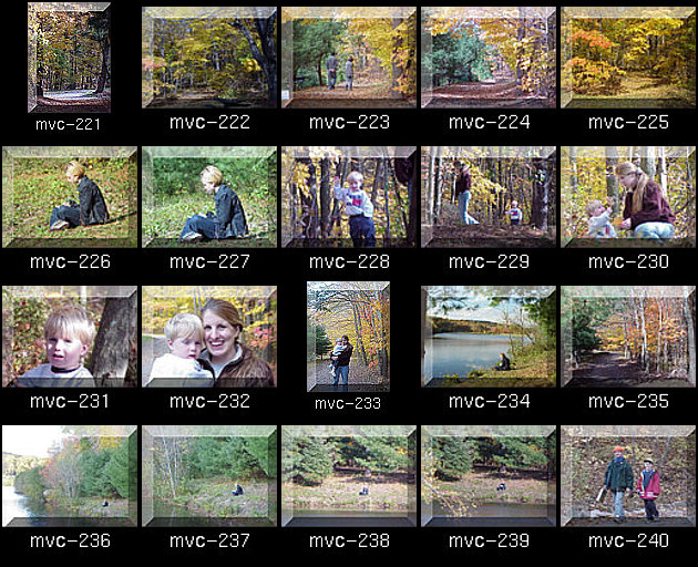 Click for Full Size.