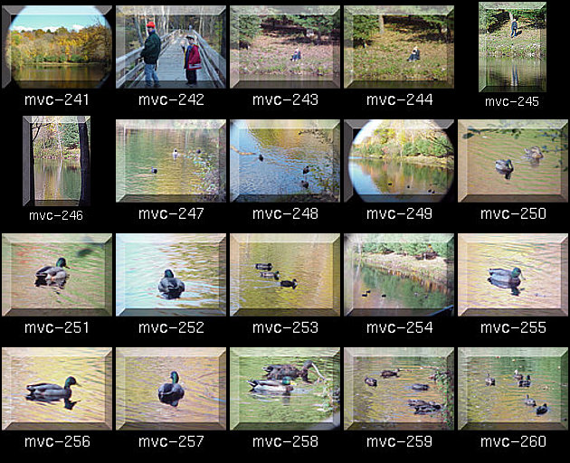 Click for Full Size.