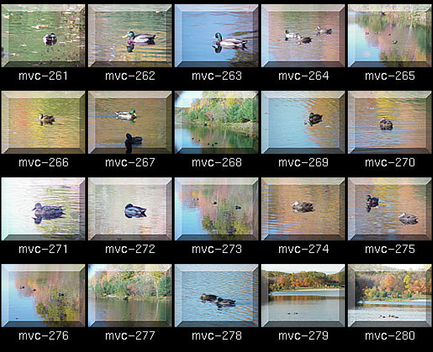 Click for Full Size.