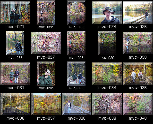 Click for Full Size.