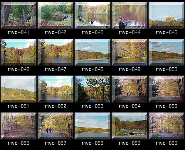 Click for Full Size.