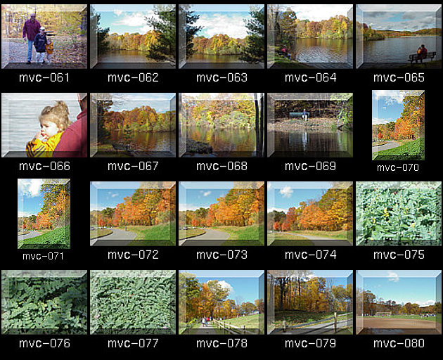 Click for Full Size.