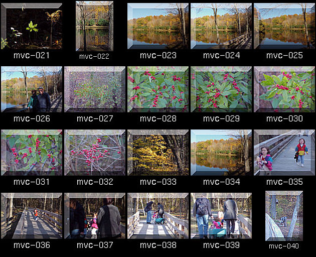 Click for Full Size.