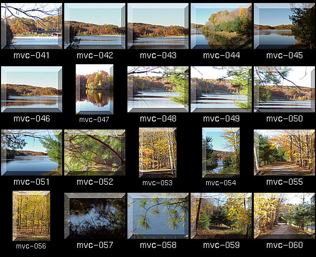 Click for Full Size.