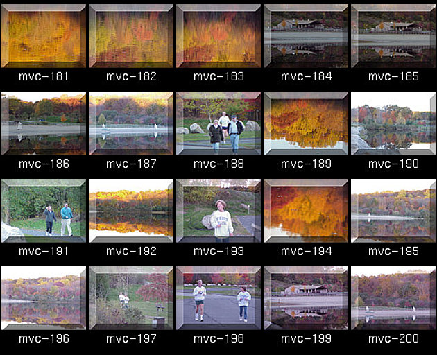 Click for Full Size.